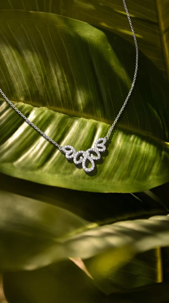 Product Photos